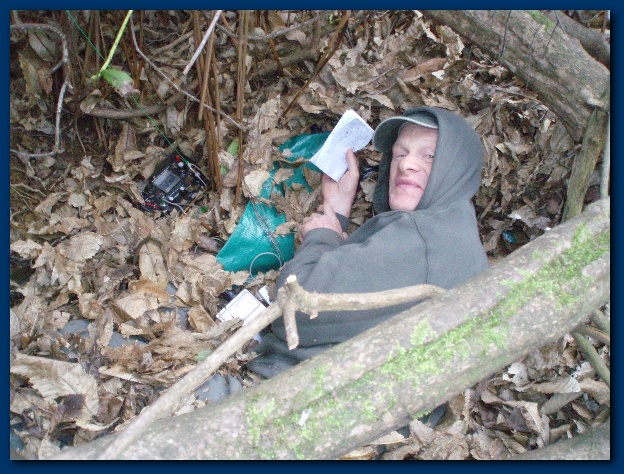 600x449 pixels (179K)